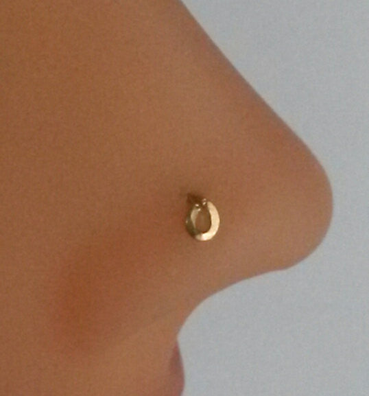 Circle Nose Ring, 14K Gold Filled Nose Stud, Helix, Tragus, Cartilage, Earring