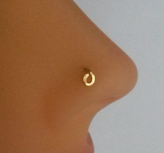 Circle Nose Ring, 14K Gold Filled Nose Stud, Helix, Tragus, Cartilage, Earring